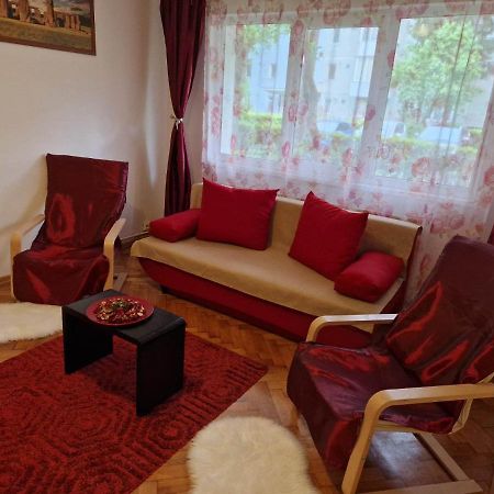 Petuniei Apartment Брашов Экстерьер фото