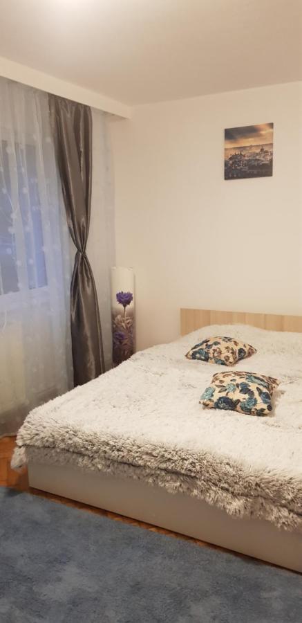 Petuniei Apartment Брашов Экстерьер фото