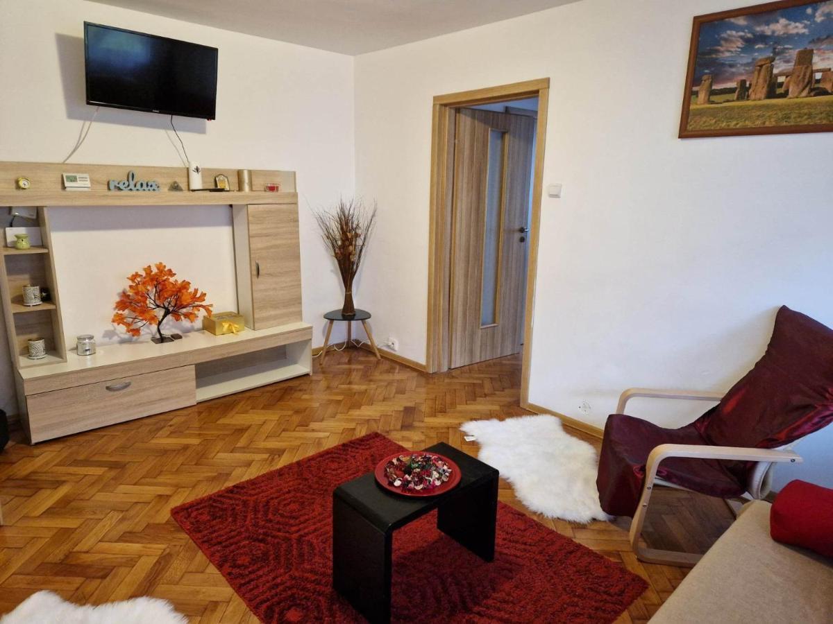 Petuniei Apartment Брашов Экстерьер фото