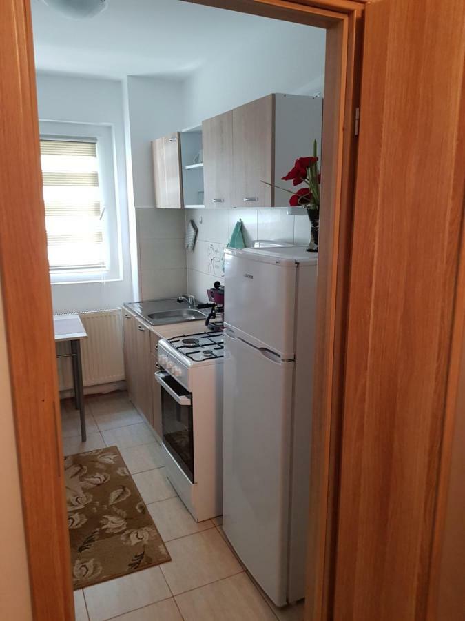 Petuniei Apartment Брашов Экстерьер фото