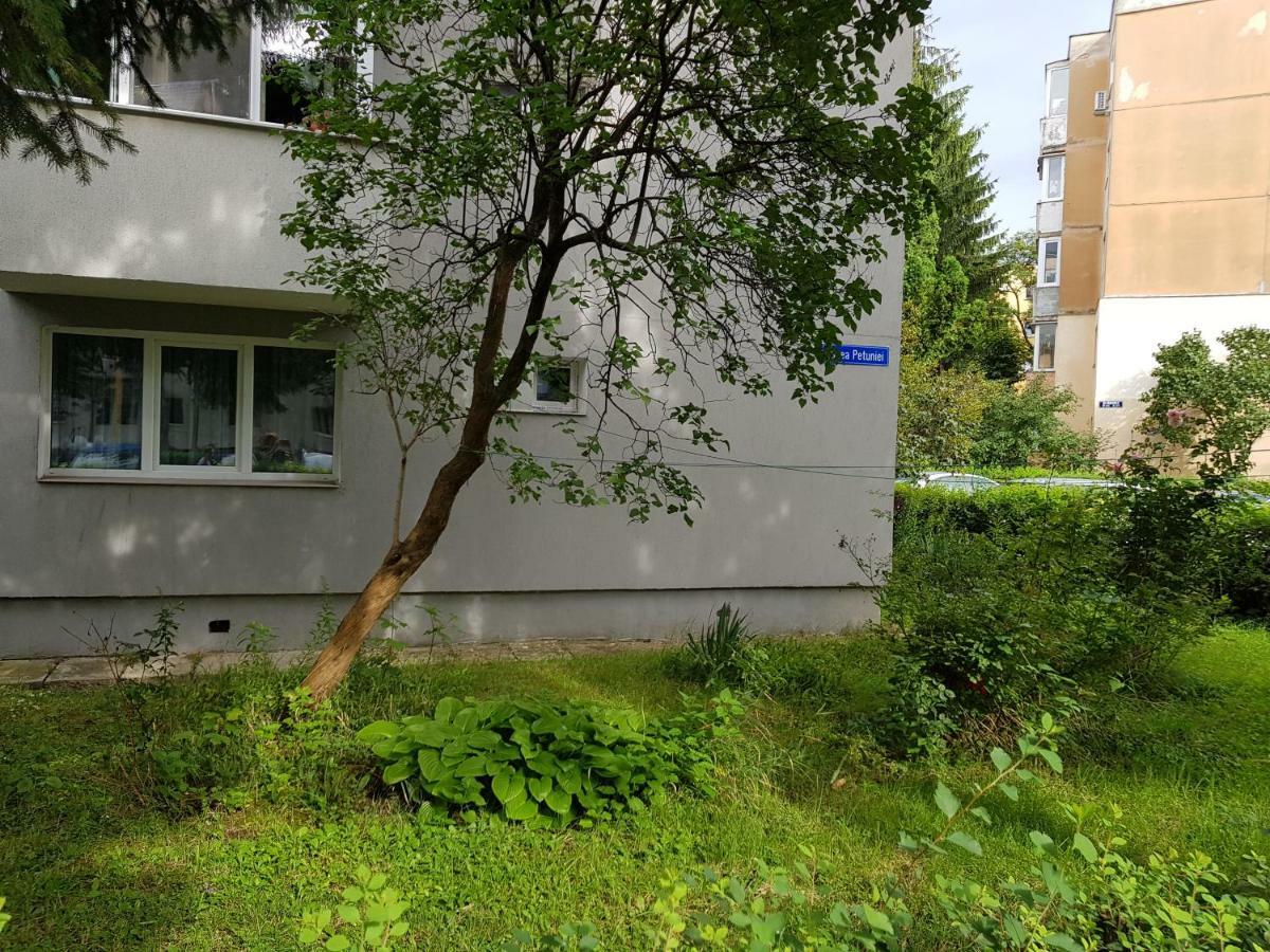 Petuniei Apartment Брашов Экстерьер фото