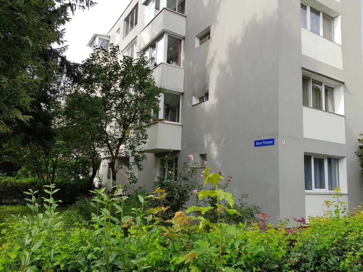 Petuniei Apartment Брашов Экстерьер фото